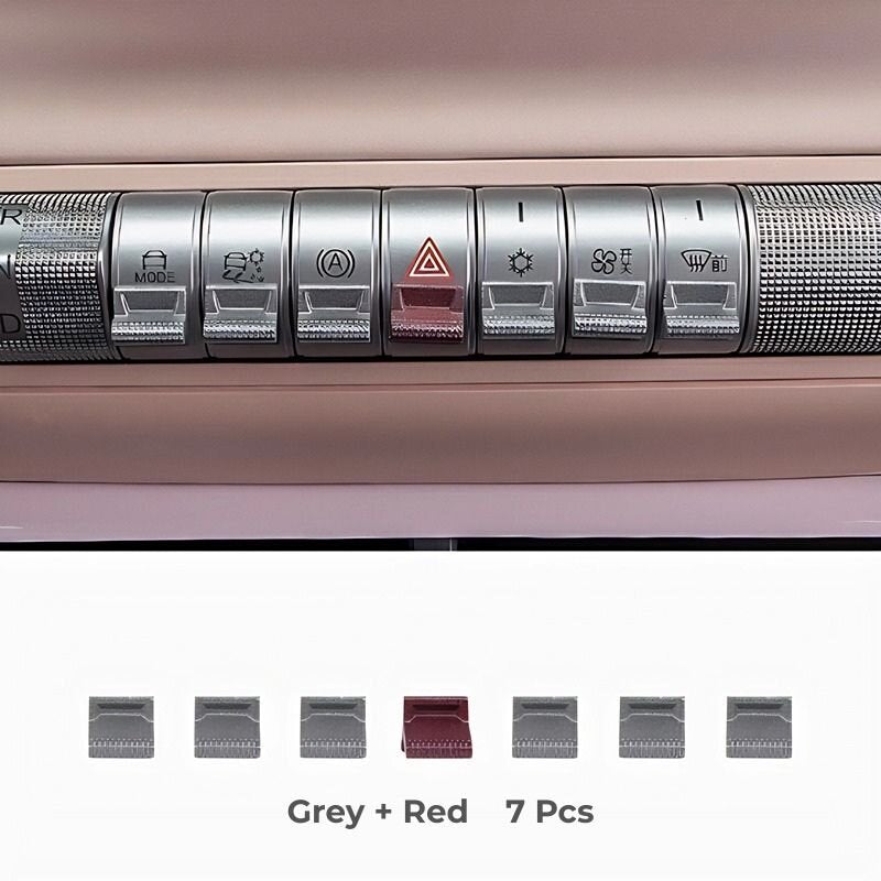 Palettes de commande centrales pour BYD - vue 6