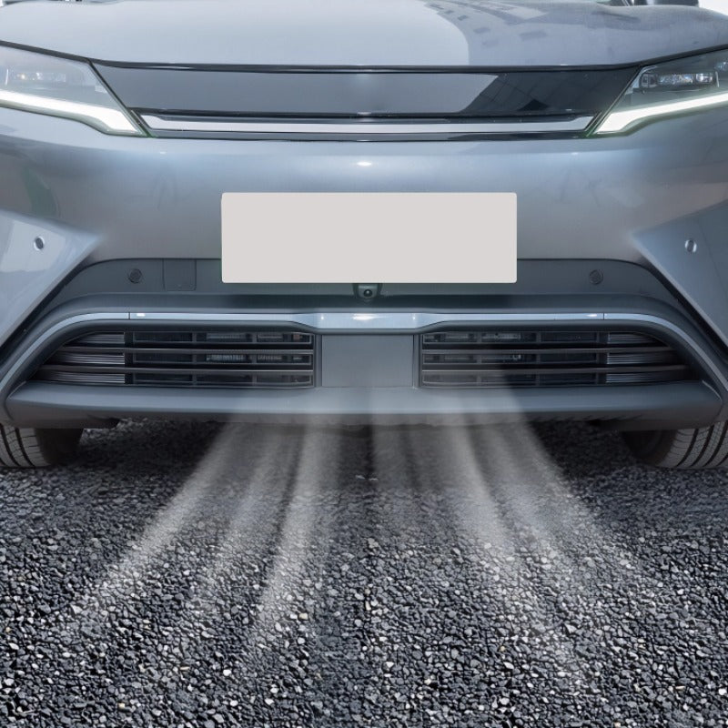 BYD Atto 2 EV Filet de protection pour calandre - vue 2
