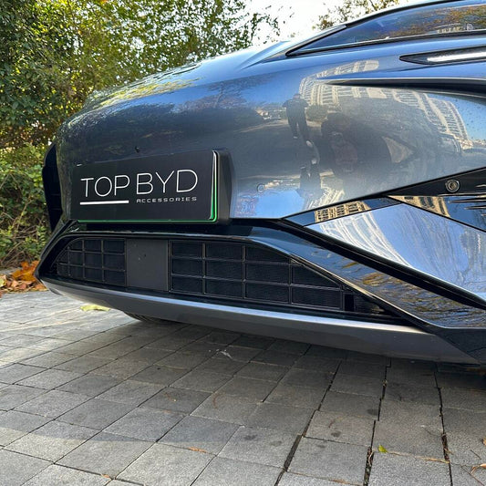 BYD Sealion 7 Filet de protection de la calandre - BYD