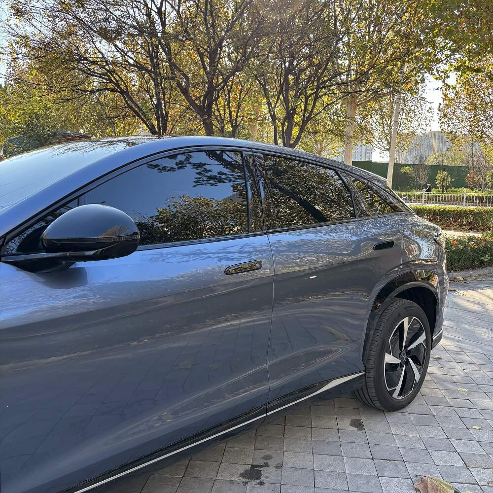 Couvercle de poignée de porte pour BYD Sealion 7 - vue 7