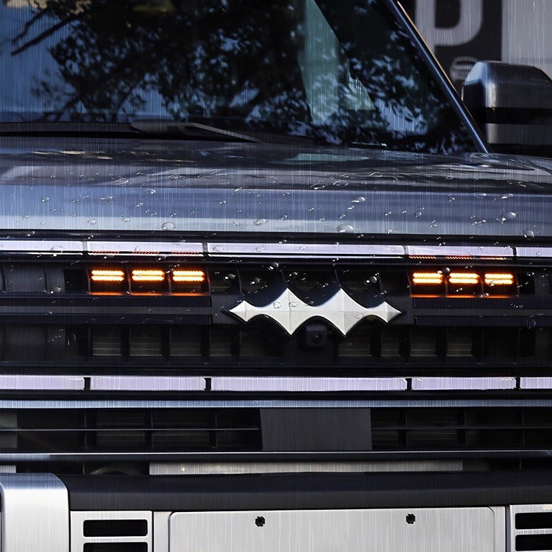 Grille d'éclairage pour Denza B5 - vue 4