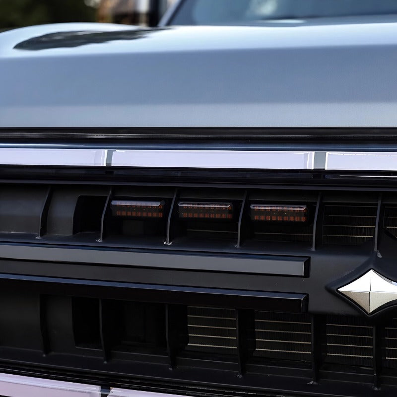 Grille d'éclairage pour Denza B5 - vue 6