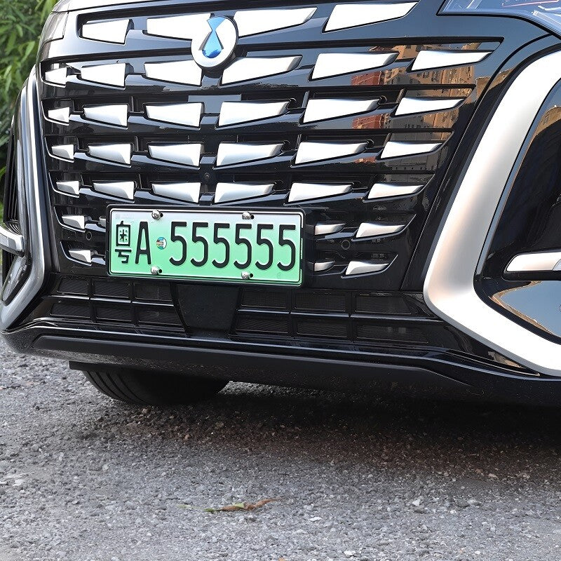 Filet anti-grille pour DENZA D9 - vue 2