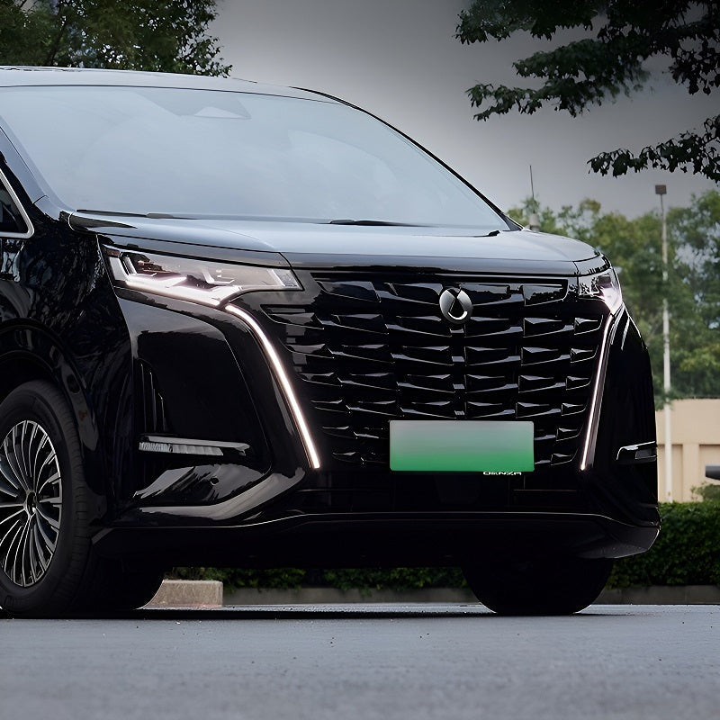 Grille d'éclairage haute configuration pour Denza D9 - vue 5