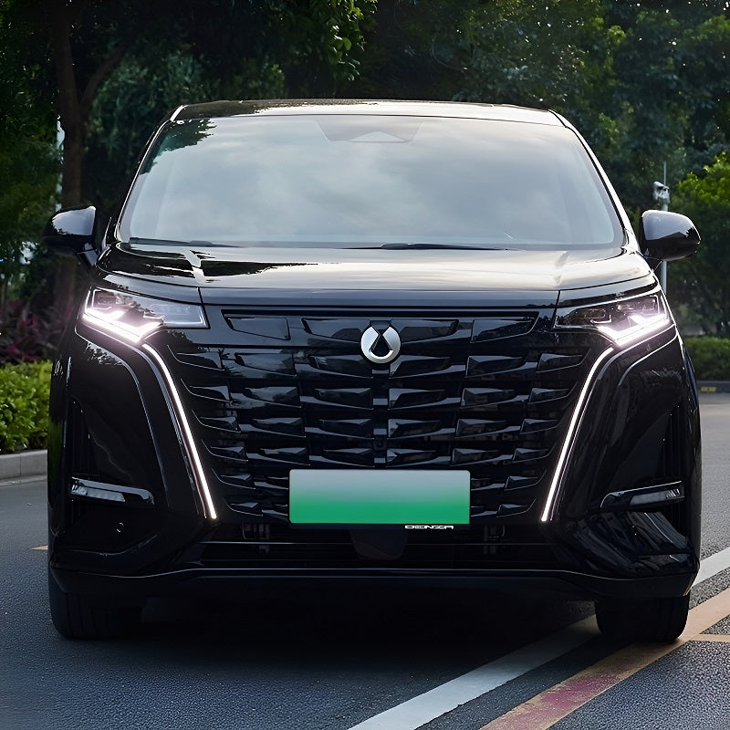 Grille d'éclairage haute configuration pour Denza D9 - vue 4