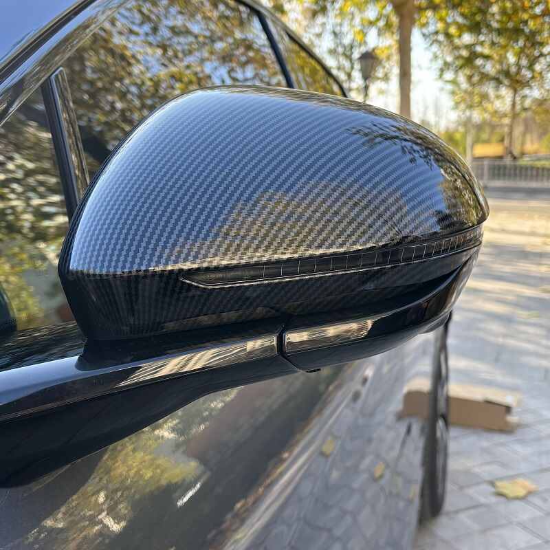 Couvercle de rétroviseur latéral pour BYD Sealion 7 - vue 7