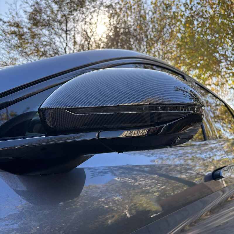 Couvercle de rétroviseur latéral pour BYD Sealion 7 - vue 6