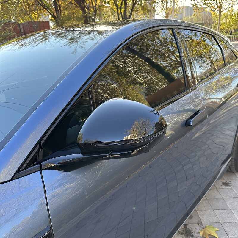 Couvercle de rétroviseur latéral pour BYD Sealion 7 - BYD