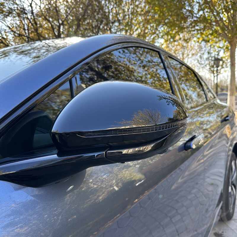 Couvercle de rétroviseur latéral pour BYD Sealion 7 - vue 9