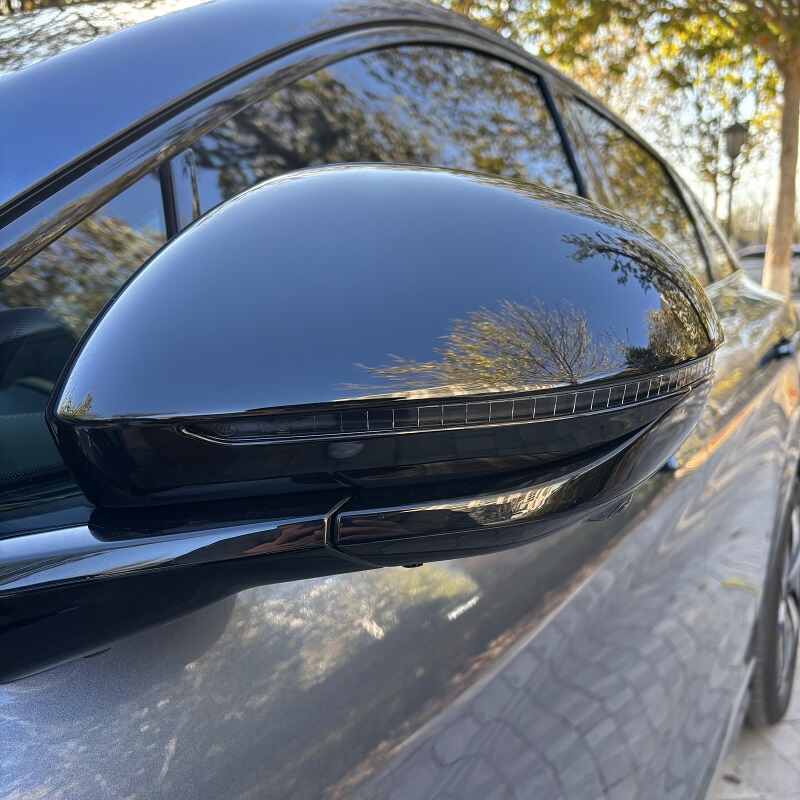 Couvercle de rétroviseur latéral pour BYD Sealion 7 - vue 8